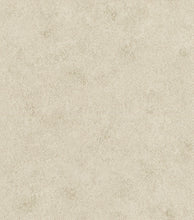 Load image into Gallery viewer, Eclectic, Reptile Skins,Animal Print, Neutrals