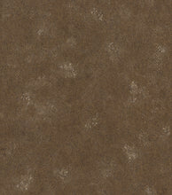 Load image into Gallery viewer, Eclectic, Reptile Skins,Animal Print, Browns