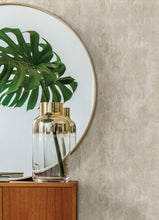 Load image into Gallery viewer, Deimos Distressed Texture Wallpaper