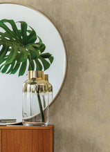 Load image into Gallery viewer, Deimos Distressed Texture Wallpaper