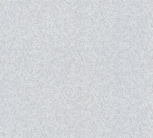 Load image into Gallery viewer, Silver, Modern