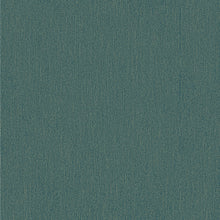 Load image into Gallery viewer, Transitional, Stripes, Graphics