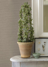 Load image into Gallery viewer, Estefan Distressed Texture Wallpaper