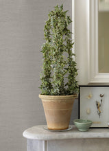 Load image into Gallery viewer, Estefan Distressed Texture Wallpaper