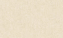 Load image into Gallery viewer, Traditional Distressed Textures Abstract