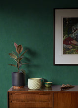 Load image into Gallery viewer, Riomar Distressed Texture Wallpaper