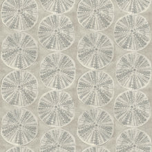 Load image into Gallery viewer, Sea Biscuit Sand Dollar Wallpaper
