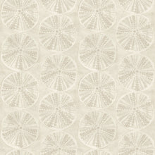 Load image into Gallery viewer, Sea Biscuit Sand Dollar Wallpaper