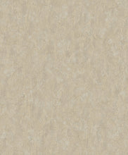 Load image into Gallery viewer, Transitional, Abstract, Distressed Textures