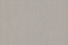 Load image into Gallery viewer,  weave, woven, cloth, metallic, gesso, plaster, basket weave, texture, boucle, mesh, strie, Textures