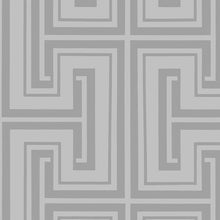 Load image into Gallery viewer, Prepasted, Peelable, Scrubbable