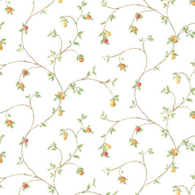 Load image into Gallery viewer, Fruit Trail Wallpaper
