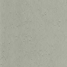 Load image into Gallery viewer, Burnished Patina Wallpaper