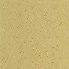 Load image into Gallery viewer, Burnished Patina Wallpaper