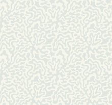 Load image into Gallery viewer, Nebulous Cloud Wallpaper