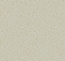 Load image into Gallery viewer, Nebulous Cloud Wallpaper