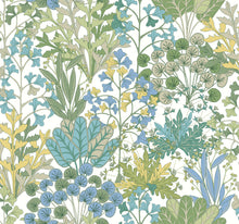 Load image into Gallery viewer, Forest Floor