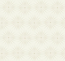 Load image into Gallery viewer, York Wallcoverings, York Wallpaper, Non Woven Wallpaper, Nonwoven Wallpaper, Removable Wallpaper, Easy Wallpaper, Wallcove...