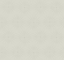 Load image into Gallery viewer, York Wallcoverings, York Wallpaper, Non Woven Wallpaper, Nonwoven Wallpaper, Removable Wallpaper, Easy Wallpaper, Wallcove...