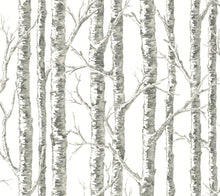 Load image into Gallery viewer, Black & White Resource Library, York Wallcoverings, York Wallpaper, SureStrip, Sure Strip, Removable Wallpaper, Temporary ...