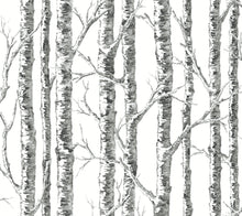 Load image into Gallery viewer, Black &amp; White Resource Library, York Wallcoverings, York Wallpaper, SureStrip, Sure Strip, Removable Wallpaper, Temporary ...