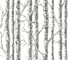 Load image into Gallery viewer, Black & White Resource Library, York Wallcoverings, York Wallpaper, SureStrip, Sure Strip, Removable Wallpaper, Temporary ...