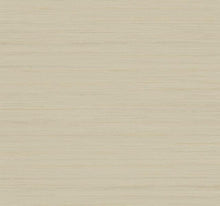 Load image into Gallery viewer, Ragtime Silk Wallpaper