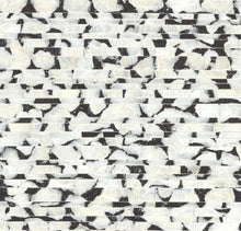 Load image into Gallery viewer, Capiz Offering Wallpaper