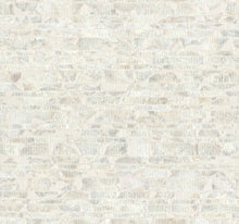 Load image into Gallery viewer, Capiz Offering Wallpaper