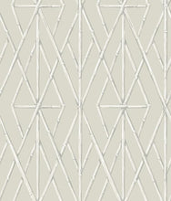 Load image into Gallery viewer, York Wallcoverings, York Wallpaper, SureStrip, Removable Wallpaper, Temporary Wallpaper, Easy Wallpaper, Wallcovering, Wal...