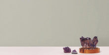 Load image into Gallery viewer, Radiant Juniper Wallpaper Commercial Width