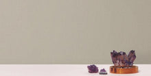 Load image into Gallery viewer, Radiant Juniper Wallpaper Commercial Width