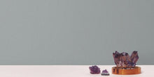 Load image into Gallery viewer, Radiant Juniper Wallpaper Commercial Width