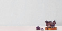 Load image into Gallery viewer, Radiant Juniper Wallpaper Commercial Width