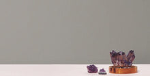 Load image into Gallery viewer, Radiant Juniper Wallpaper Commercial Width