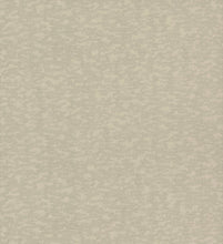 Load image into Gallery viewer, Weathered Cypress Wallpaper