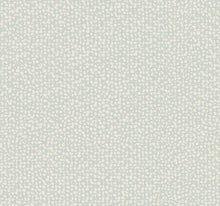 Load image into Gallery viewer, Galaxies Wallpaper