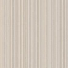 Load image into Gallery viewer, Stria Striped Wallpaper