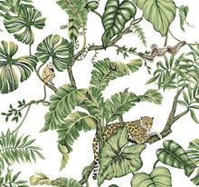 Load image into Gallery viewer, York Wallcoverings, York Wallpaper, Non Woven Wallpaper, Nonwoven Wallpaper, Removable Wallpaper, Easy Wallpaper, Wallcove...