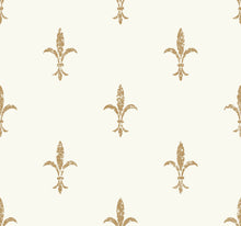 Load image into Gallery viewer, metallic, gold, silver, glint, scenic, chinoiserie, gold leaf, leopards, birds, acanthus, damask, leaf, leaves, classic, s...