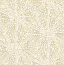 Load image into Gallery viewer, Bohemian, Geometrics, Abstract, Vinyl