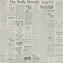 Load image into Gallery viewer, removable wallpaper vintage buff cream grey newsprint newspapers