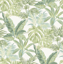 Load image into Gallery viewer, Madagascar Peel & Stick Wallpaper