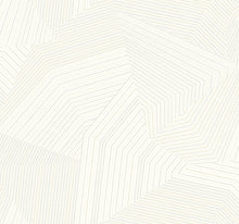 Load image into Gallery viewer, Dotted Maze Wallpaper