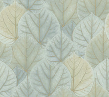 Load image into Gallery viewer, York Wallcoverings, York Wallpaper, Non Woven Wallpaper, Nonwoven Wallpaper, Removable Wallpaper, Easy Wallpaper, Wallcove...