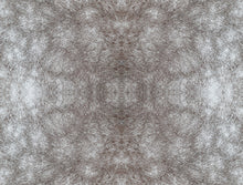 Load image into Gallery viewer, Horses, Equestrian, York Wallpaper, Peel and Stick Wallpaper, Peel N Stick, Stick and Peel Wallpaper, Stickable Wallpaper,...