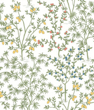 Load image into Gallery viewer, Botanical