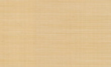 Load image into Gallery viewer, Palette Wallpaper