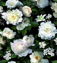 Load image into Gallery viewer, BLACK PHOTOGRAPHIC FLORAL PEEL & STICK WALLPAPER MURAL