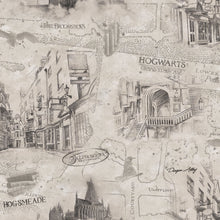 Load image into Gallery viewer, HARRY POTTER MAP PEEL & STICK WALLPAPER